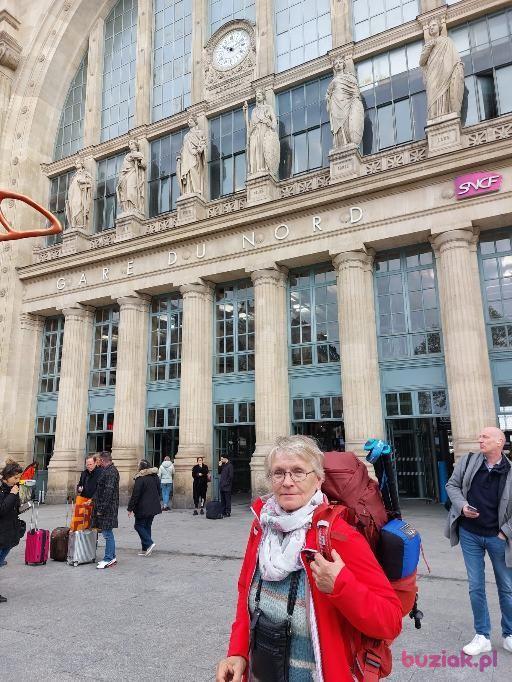 Elzbieta, Kobieta, 67, Frankfurt, Niemcy, Zdjęcie: 2