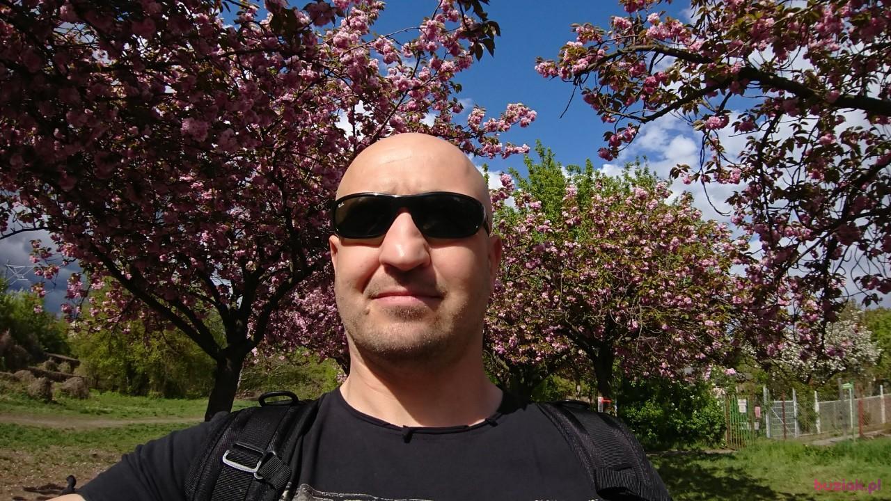 Mar, Male, 43, Berlin, Niemcy, Photo: 2