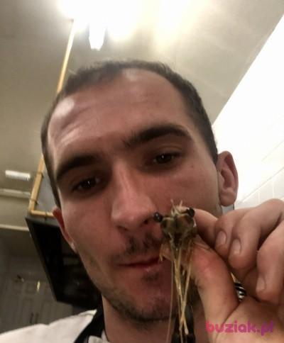 Dominik, Mężczyzna, 31, Hambleton, Wielka Brytania, Zdjęcie: 1