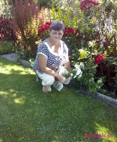 Wanda, Kobieta, 74, Lublin, Polska, Zdjęcie: 3