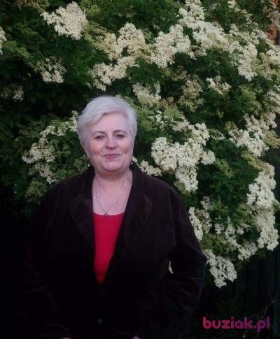 Malgorzata, Kobieta, 68, Góra, Polska, Zdjęcie: 2