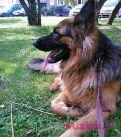 Gosia, Female, 52, Holandia, Photo: 2