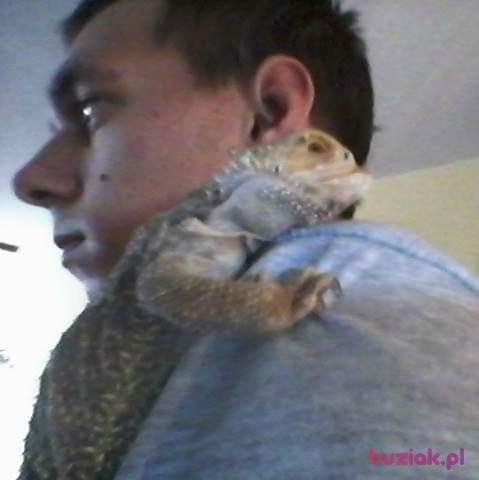 Kamil, Mężczyzna, 34, Breda, Holandia, Zdjęcie: 3