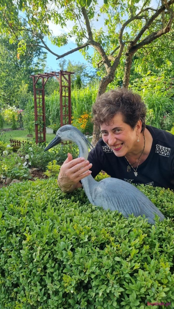 Zofia, Kobieta, 66, Gorzów Wielkopolski, Polska, Zdjęcie: 6