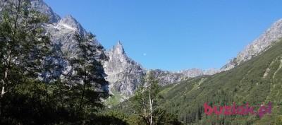 arek, Mężczyzna, 51, Polska, Zdjęcie: 4