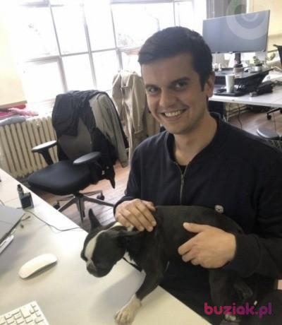 Hubert, Mężczyzna, 38, Westminster, Wielka Brytania, Zdjęcie: 3