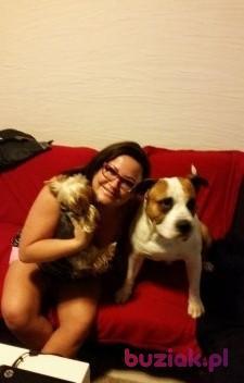 anna, Kobieta, 54, Toruń, Polska, Zdjęcie: 3