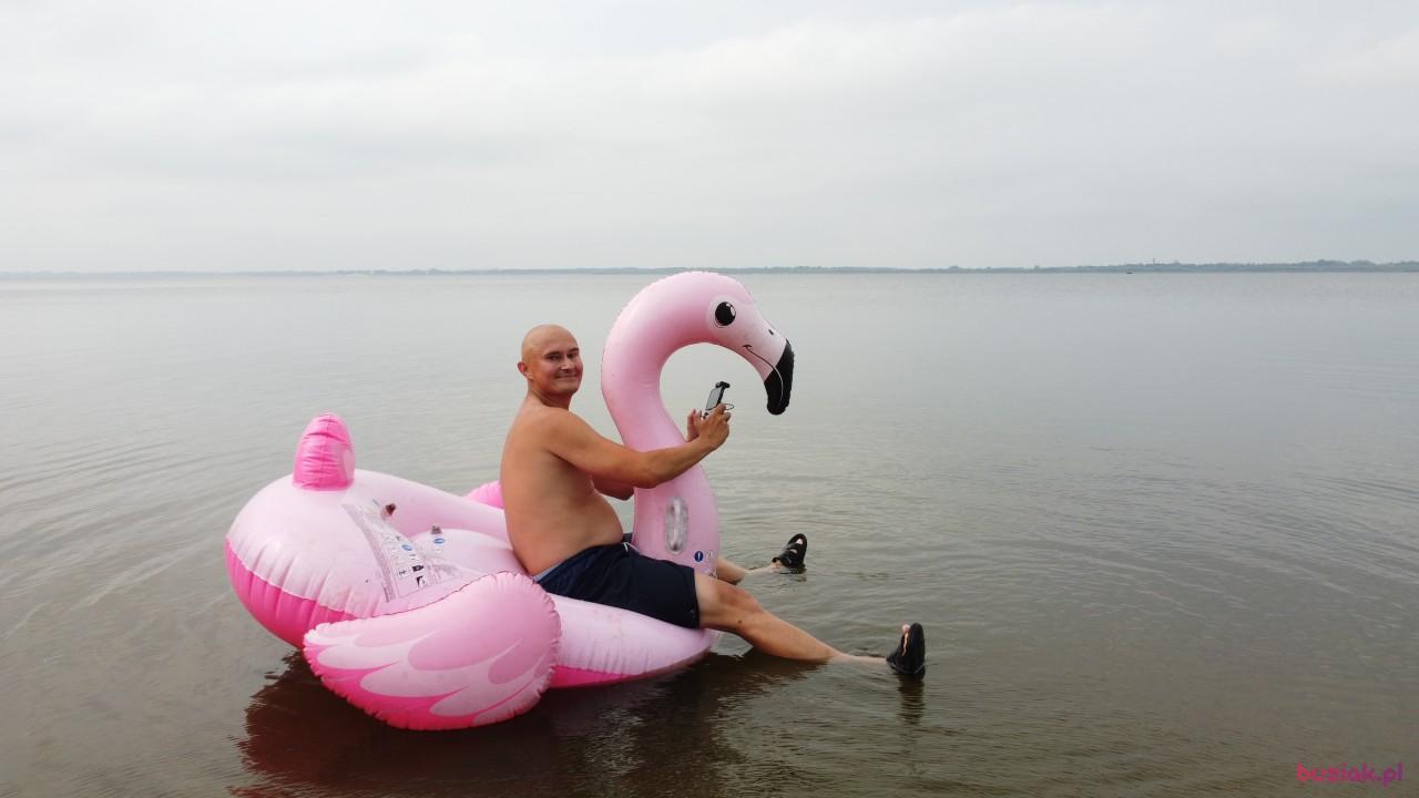 Michał, Male, 37, Zgierz, Polska, Photo: 687
