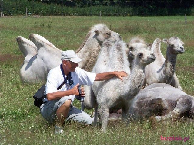 Tadeusz, Mężczyzna, 72, Opole, Polska, Zdjęcie: 7
