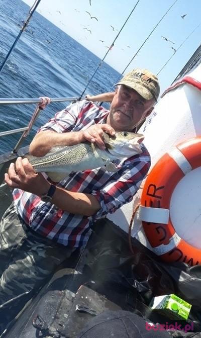 Janusz, Mężczyzna, 59, Puławy, Polska, Zdjęcie: 2