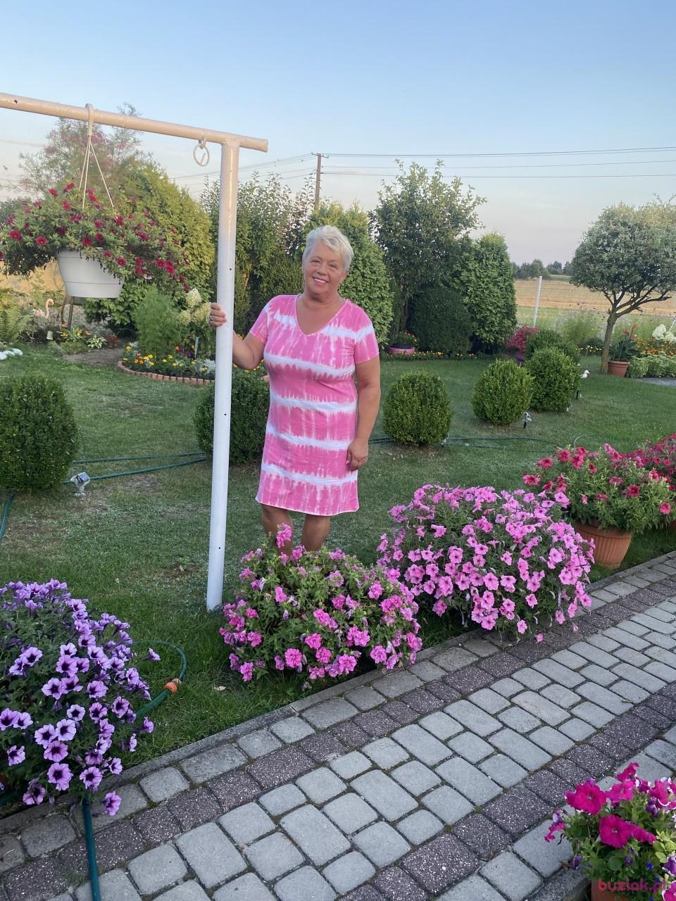 Basia, Kobieta, 64, Piotrków Trybunalski, Polska, Zdjęcie: 1