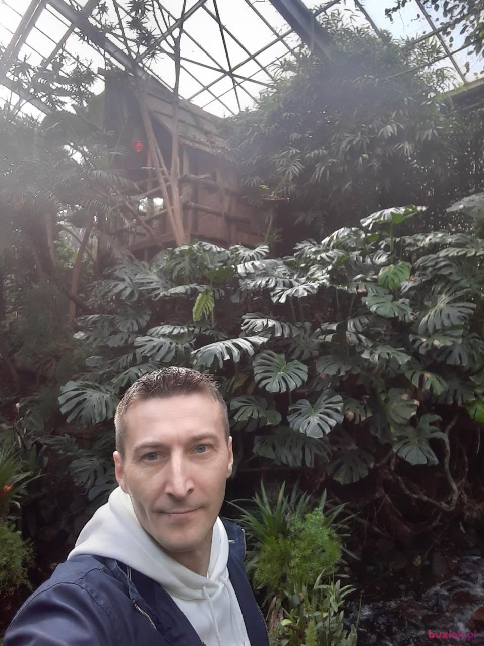 emil, Mężczyzna, 45, Almere, Holandia, Zdjęcie: 3