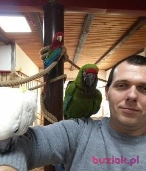 Marcin, Male, 45, Wrocław, Polska, Photo: 1
