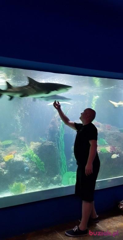 Marcin, Male, 43, Szczecin, Polska, Photo: 9