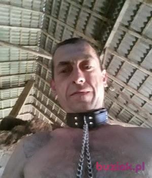 piotr, Mężczyzna, 49, Młynary, Polska, Zdjęcie: 3