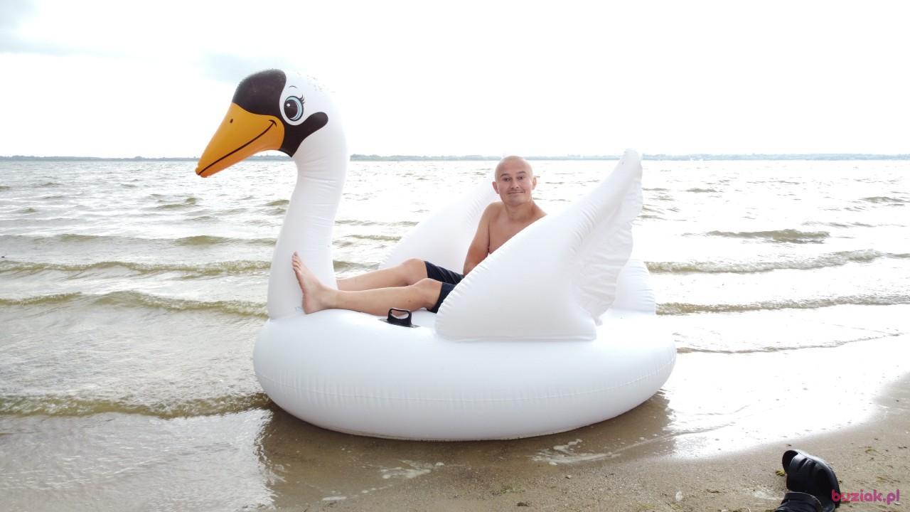 Michał, Male, 37, Zgierz, Polska, Photo: 537