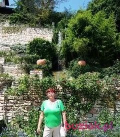 sabina, Kobieta, 67, Krosno, Polska, Zdjęcie: 6