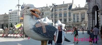 Marek, Mężczyzna, 52, Bydgoszcz, Polska, Zdjęcie: 1