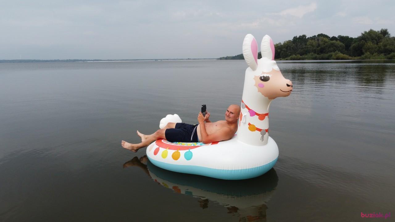 Michał, Male, 37, Zgierz, Polska, Photo: 693
