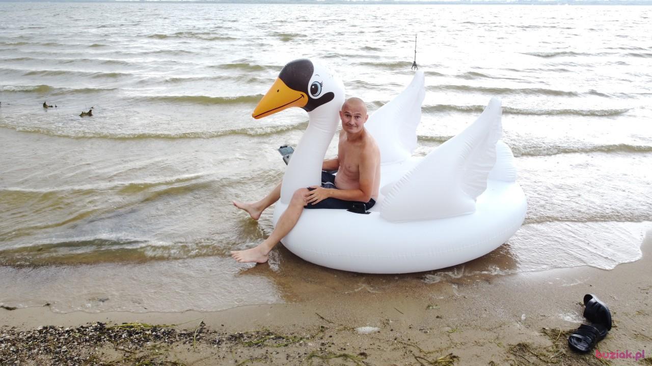 Michał, Male, 37, Zgierz, Polska, Photo: 521