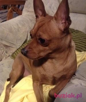 Layla, Female, 45, Polska, Photo: 6