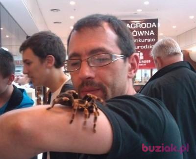 Tomasz, Mężczyzna, 49, Poznań, Polska, Zdjęcie: 2