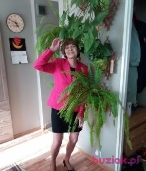 Elżbieta , Kobieta, 72, Warszawa, Polska, Zdjęcie: 2
