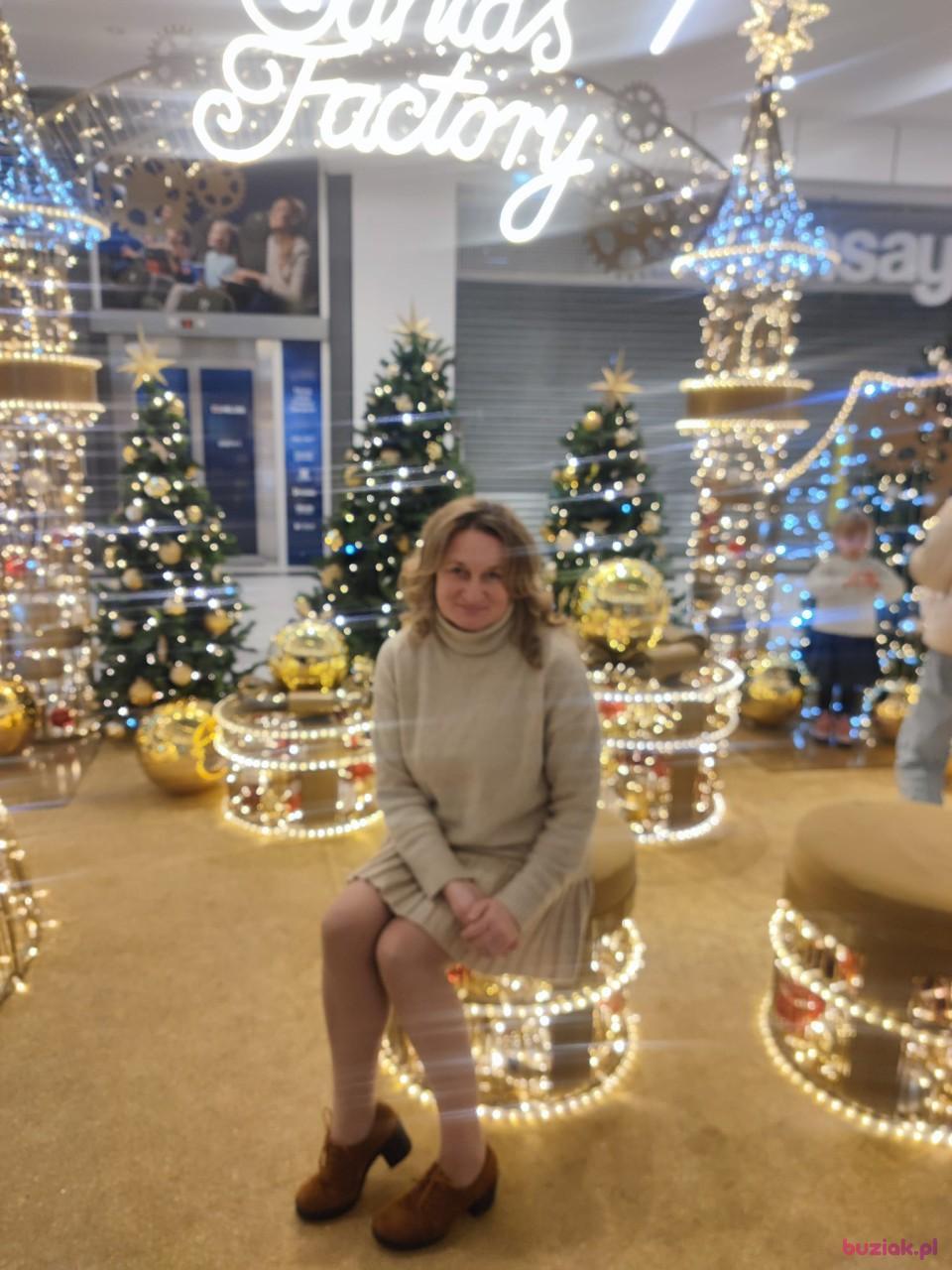 Izabela, Kobieta, 50, Olkusz, Polska, Zdjęcie: 2