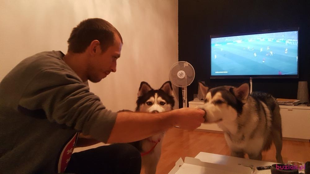 Jakub , Mężczyzna, 40, Białystok, Polska, Zdjęcie: 2