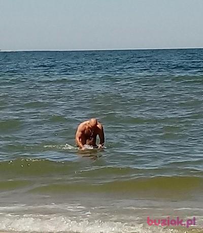 Andrzej, Mężczyzna, 50, Haarlem, Holandia, Zdjęcie: 3