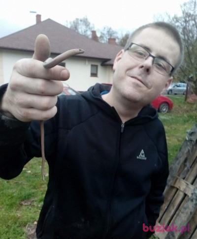 Paweł, Mężczyzna, 39, Września, Polska, Zdjęcie: 4