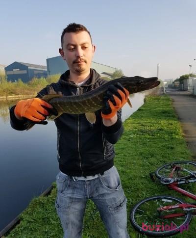 Adrian, Mężczyzna, 32, Westminster, Wielka Brytania, Zdjęcie: 3