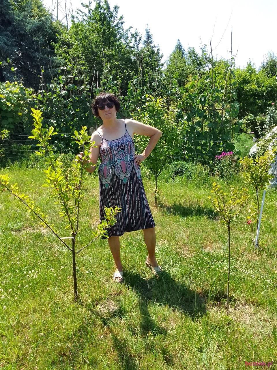 maria, Female, 67, Kłobuck, Polska, Photo: 3