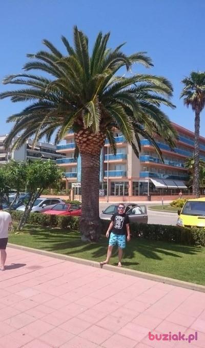 Tomasz, Male, 41, Hindhead, Wielka Brytania, Photo: 2
