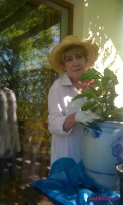 Beata, Kobieta, 63, Kościerzyna, Polska, Zdjęcie: 2