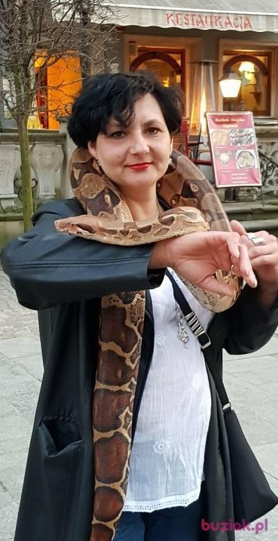 wiolka, Kobieta, 51, Poznań, Polska, Zdjęcie: 1