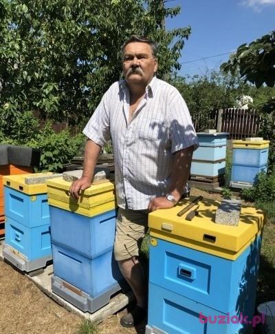Witek, Mężczyzna, 72, Tuszyn, Polska, Zdjęcie: 3