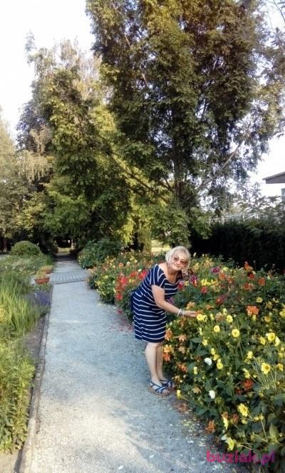 Elżbieta, Kobieta, 64, Poznań, Polska, Zdjęcie: 3