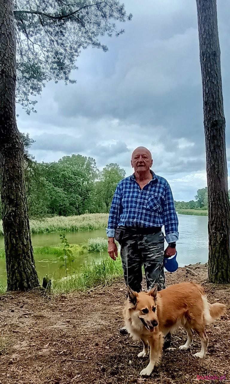 Zdzisław, Mężczyzna, 73, Poznań, Polska, Zdjęcie: 3
