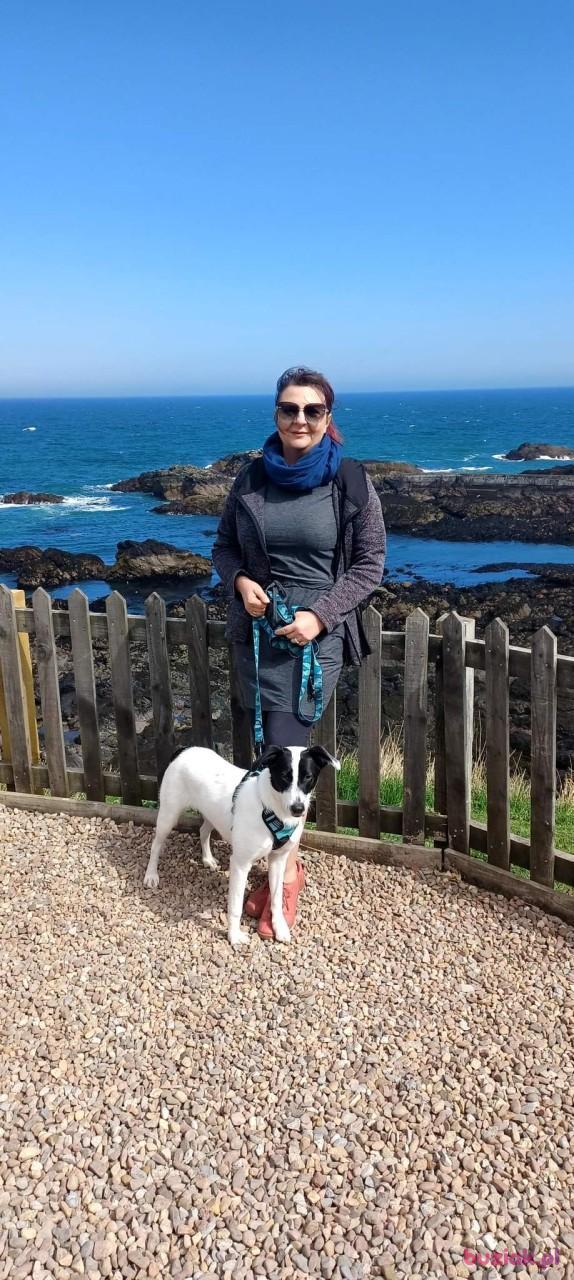 Dorota, Kobieta, 53, Wielka Brytania, Zdjęcie: 3