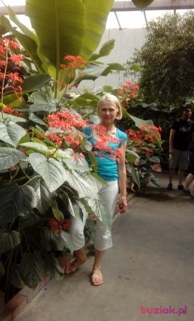 Małgorzata, Kobieta, 63, Poznań, Polska, Zdjęcie: 3