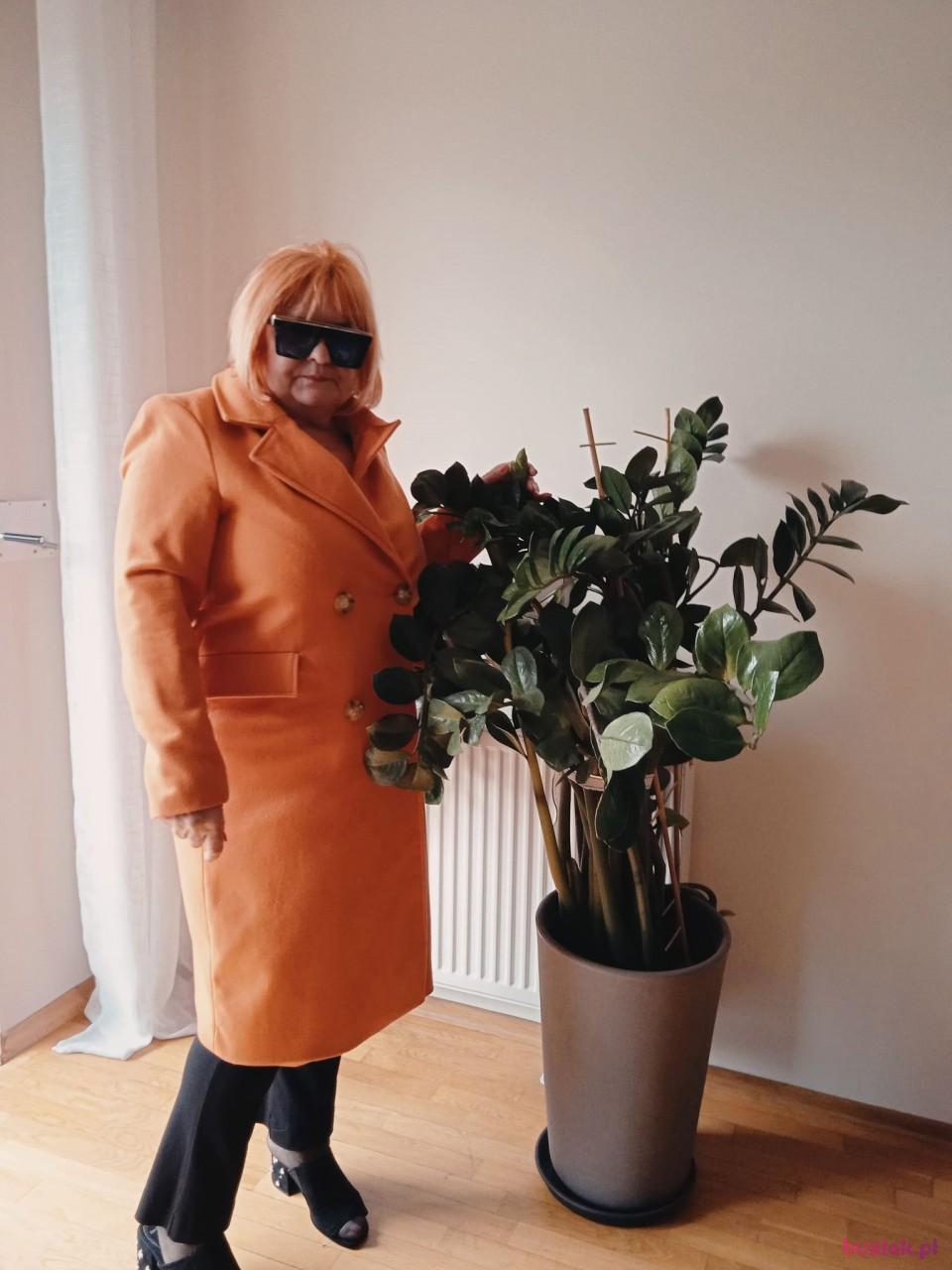 Lusi, Kobieta, 64, Kraków, Polska, Zdjęcie: 2