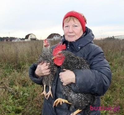OLGA, Kobieta, 76, Rosja, Zdjęcie: 5