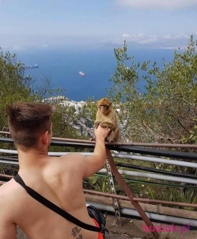 Marcin, Male, 34, Olsztyn, Polska, Photo: 2
