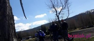 Piotr Maxsymilian, Mężczyzna, 42, Gubin, Polska, Zdjęcie: 9