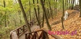 Emil-83, Mężczyzna, 43, Warka, Polska, Zdjęcie: 3