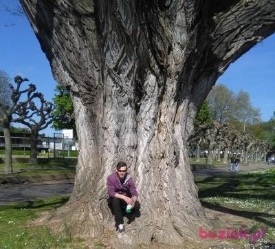 Bobik28, Male, 37, Elbląg, Polska, Photo: 5