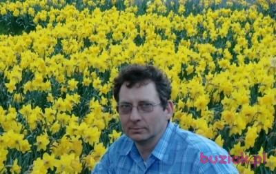SAM600, Mężczyzna, 65, Wielka Brytania, Zdjęcie: 10