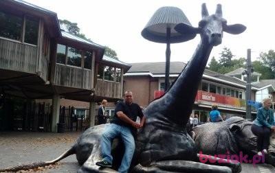 Mariusz, Mężczyzna, 43, Lublin, Polska, Zdjęcie: 2