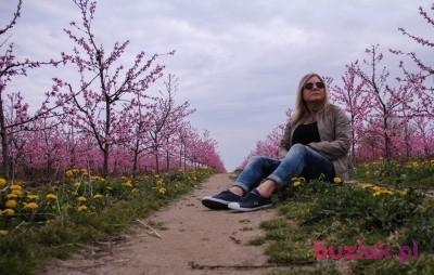 Beata, Kobieta, 55, Polska, Zdjęcie: 2